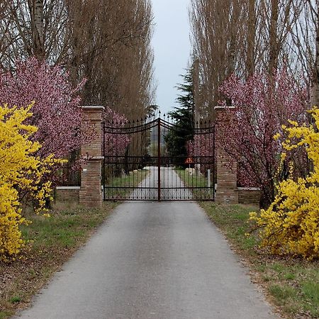 Agriturismo Corte Rocca San Giorgio di Mantova Ngoại thất bức ảnh
