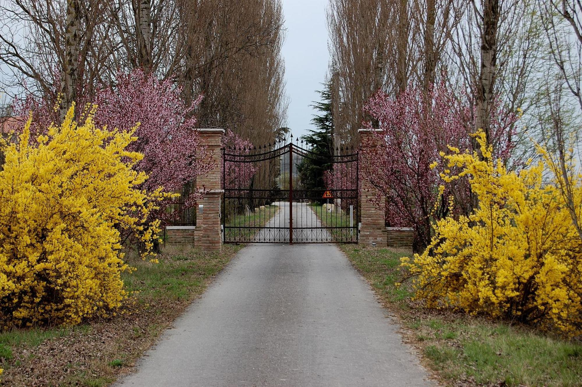 Agriturismo Corte Rocca San Giorgio di Mantova Ngoại thất bức ảnh