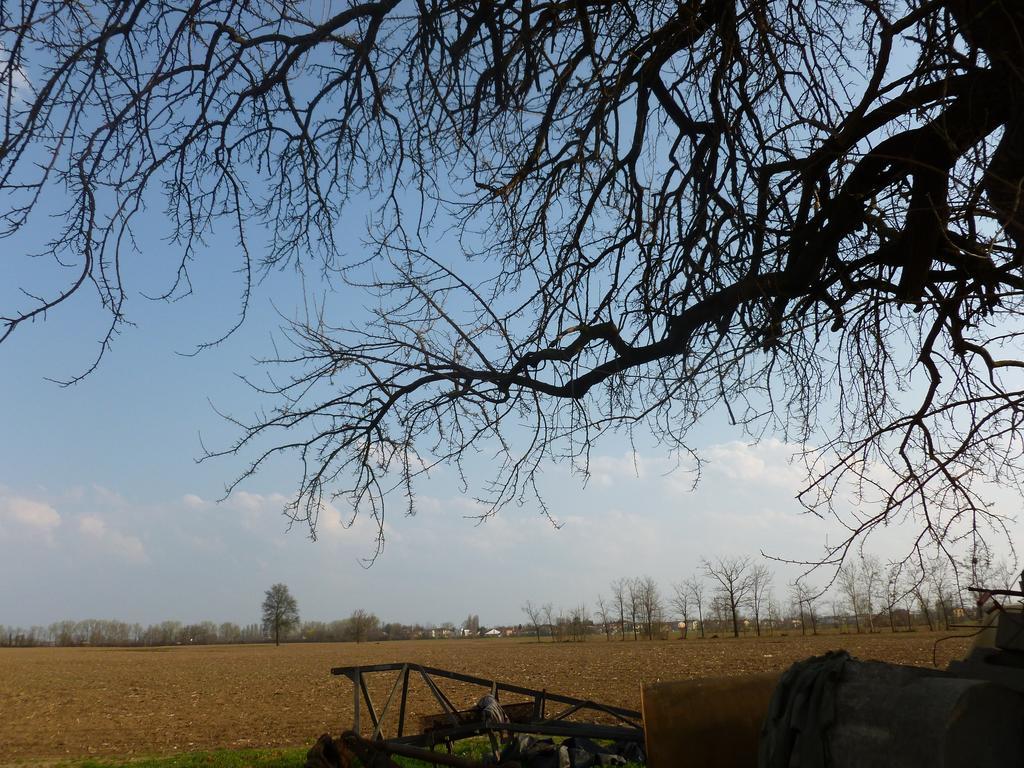 Agriturismo Corte Rocca San Giorgio di Mantova Ngoại thất bức ảnh