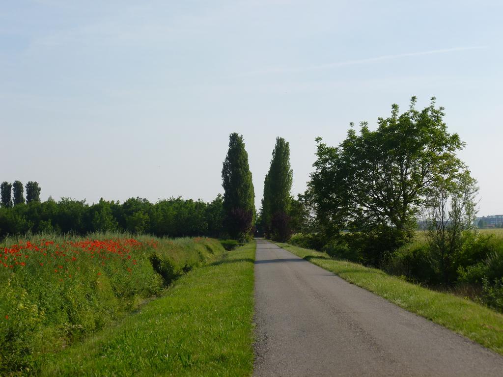 Agriturismo Corte Rocca San Giorgio di Mantova Ngoại thất bức ảnh
