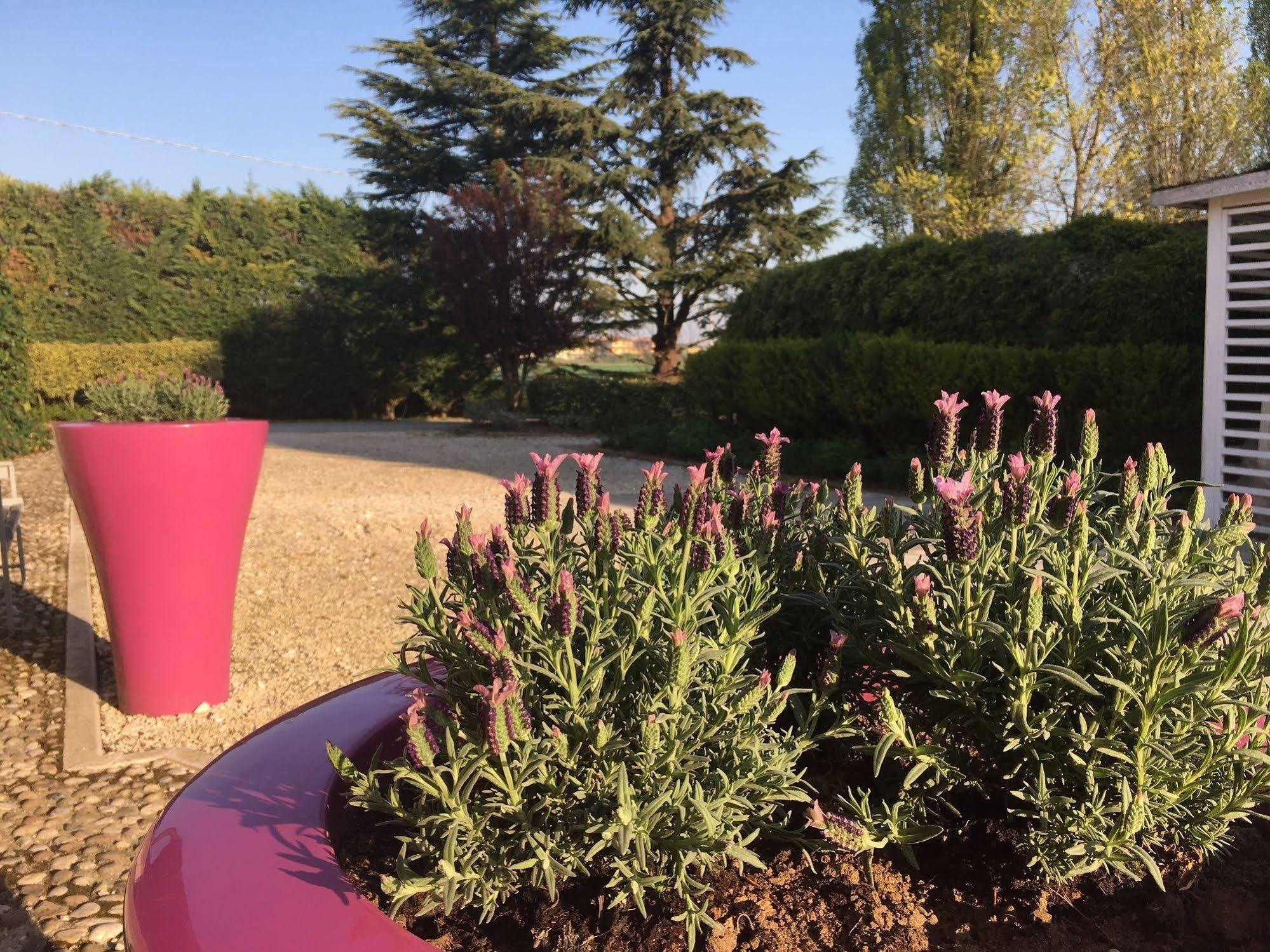 Agriturismo Corte Rocca San Giorgio di Mantova Ngoại thất bức ảnh